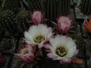 DSC09725