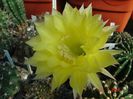 DSC09757