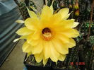 DSC09790