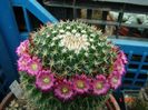 DSC09800