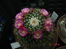 DSC09801