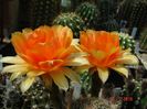 DSC09806