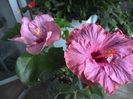 WIN_20160531_101631