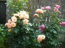 DSC02768