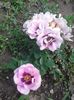 20160528_135227