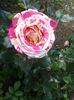 20160528_135058