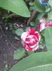 20160528_135055