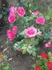 20160528_135043