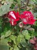 20160528_135021