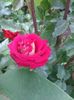 20160528_135001