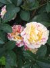 20160528_134952
