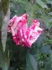 20160528_134837