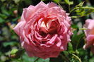 Jubilee Celebration