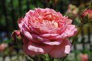 Jubilee Celebration