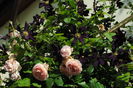 Abraham DArby si Romantika
