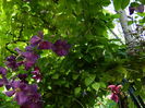 DSCN0333