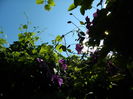 DSCN0335