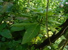 DSCN0372