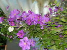 DSCN0434