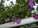 DSCN0438