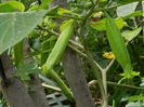 DSCN0478