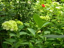 DSCN0508
