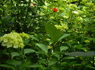 DSCN0512