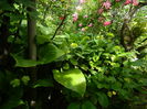 DSCN0516