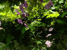 DSCN0518