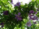 DSCN0625