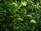 DSCN0655