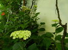 DSCN0709