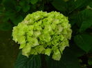 DSCN0710
