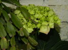 DSCN0715