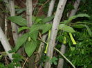 DSCN0892