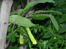 DSCN0893