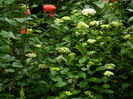 DSCN0900