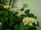DSCN0950