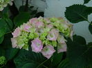 DSCN0951