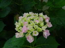 DSCN0952