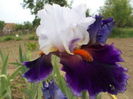 SHARPHOOTER 8 emilia68 , ok