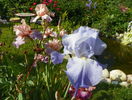 Babbling Brook si Heather Blush