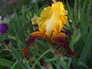 DSCF8834
