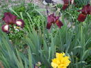 DSCF8836
