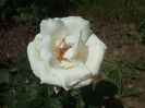 DSCF9015