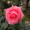 IMG_20160531_173315