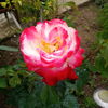 IMG_20160531_173336