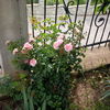 IMG_20160531_175305