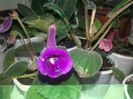 20160531_153750