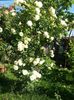 20160601_085702